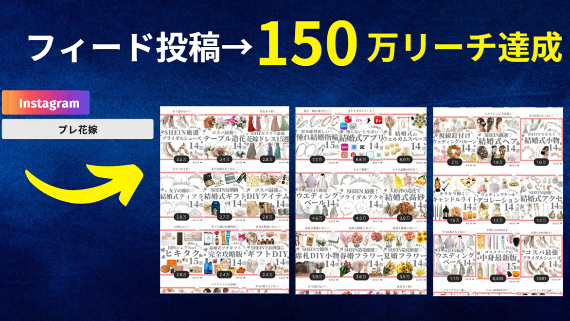 SNS運用実績